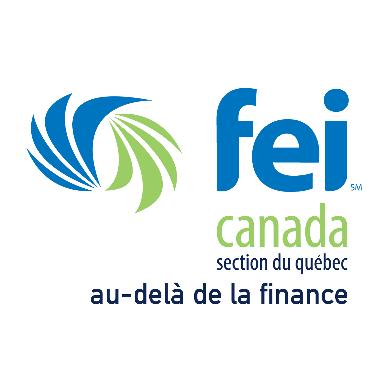 Logo FEI